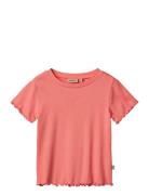 Rib T-Shirt S/S Irene Wheat 