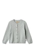 Knit Cardigan Maia Wheat Blue