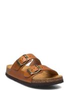 Sl Alex Leather Cognac Scholl Brown