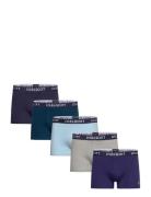 Miller Lyle & Scott Blue