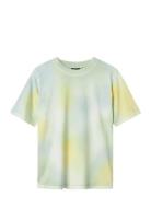 Nlnfultin Ss L Top LMTD Green