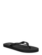 Flip Flop M Exani Black