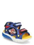 J Sandal Ciberdron B GEOX Blue