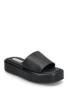 Beachy Slides Steve Madden Black
