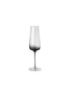 Champagne Glas 'Smoke' Glas Broste Copenhagen Grey