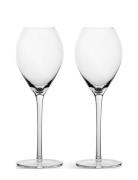 Saga Champagne Glass, 2-Pack Sagaform