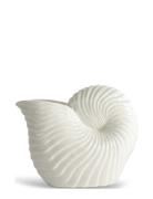 Jug Shelley Byon White