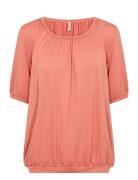 Sc-Marica Soyaconcept 