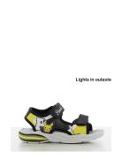 Pokemon Sandal Leomil Black