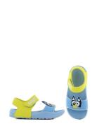 Bluey Sandal Leomil Blue