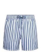 Blue Striped Shorties Pockies Blue