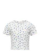 Kogbella Life Short Aop S/S Top Jrs Noos Kids Only White
