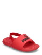 Cool Cat 2.0 Backstrap Ac Inf PUMA Red