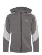 Evostripe Full-Zip Hoodie Dk B PUMA Grey