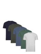 Icon T Shirt 5 Pack Hollister Patterned