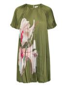 Vinlaa Ted Baker London Green