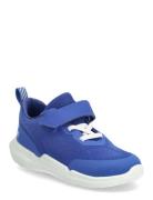 Biom 2.2 Infant ECCO Blue