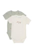 Body Ss 2-Pack Fixoni Green