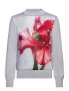 Eloaa Ted Baker London Blue