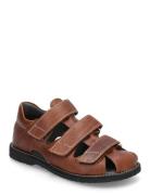 Sandals - Flat - Closed Toe ANGULUS Brown