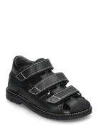 Sandals - Flat - Closed Toe ANGULUS Black