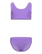 Nola Solid Molo Purple