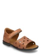 Sandals - Flat - Open Toe - Op ANGULUS Brown