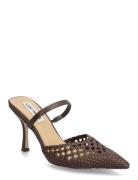 Brinley Steve Madden Brown