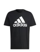 M Bl Sj T Adidas Sportswear Black