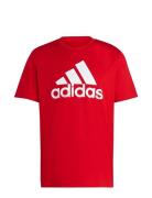 M Bl Sj T Adidas Sportswear Red