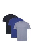 3 Pack Crew French Connection Patterned