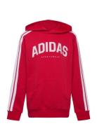 J C Colleg Hd Adidas Sportswear Red