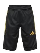 J Hot Cof Sho Adidas Sportswear Black