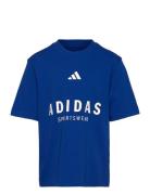 J Allszn Gfx T Adidas Sportswear Blue