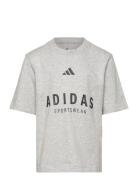 J Allszn Gfx T Adidas Sportswear Grey
