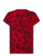 Jg Fi Aop T Adidas Sportswear Red