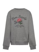 Supply Boutique Crew VANS Grey