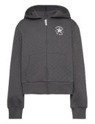 Cnvg Star Pointelle Full Zip H Converse Grey