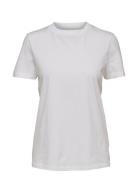Slfmy Perfect Ss Tee Box Cut B Noos Selected White