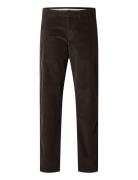 Slh196-Straight Miles Cord Pant W Noos Selected Brown