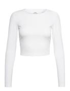 Graphic Crop Long Sleeve Casall White