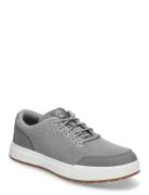 Low Lace Sneaker Timberland Grey