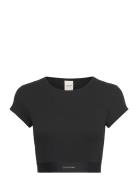 Rib Crop Tee Calvin Klein Black