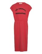 Orca Kid Midi Dress Red THE ANIMALS OBSERVATORY Red