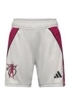 Jb Tiro Sho Y Adidas Performance Grey