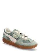 Palermo Vintage PUMA Green