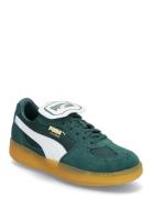 Palermo Moda Tongue Wns PUMA Green
