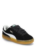 Suede Xl Dark Risk PUMA Black