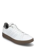 Advantage 2.0 Adidas Sportswear White