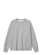 Wwhester Chest Print WOOD WOOD Grey